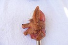 Vintage 1985 Coors Light Beer Wolf Tap Handle Knob Bar Man Cave Rare     