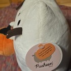 Pusheen Light-up Halloween Plush Pumpkin Cat Stuffed Animal Collectible