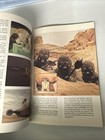 The Star Wars Storybook 1978 Scholastic Full Color Photos Random House Vintage