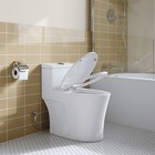 Horow T0338w Series One Piece Toilets W ada Height 17 3  Seat elongated Dual Flu
