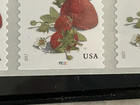 Scott  5201 3c Strawberries Plate  p222222 New Plate Number Pnc5 Mnh Aps Life