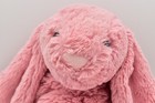 Jellycat Bashful Petal Bunny Pink White Tail 12  Medium Plush Stuffed Animal