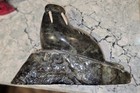 Inuit Art Eskimo Carving On Base  Large Soapstone 10  Long By 7 5  Tall Vintage