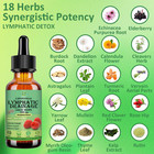 Lymphatic Drainage Drops  18-in-1 Herbal Lymph System Support W  Echinacea Elder