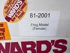 Vintage Ward s Natural Science Female Realistic Frog Model 81-2001