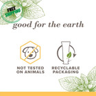 Burt s Bees Toothpaste  Natural Flavor  Zen Peppermint  4 7 Oz  Pack Of 3