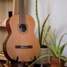 Cordoba C3m Classical Guitar Only Guitar