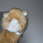 Applause Avanti Baby Animals Plush Orange Tabby Kitten  1025 Stuffed Animal 1985