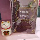 The Natural Healing Handbook  Spiral-bound Guide For Herbal Remedies And Natural