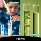 Science Kits For Kids Age 4-8-12  52 Science Experiments For Kids 6-8  5 In 1 Ph
