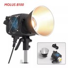Zhiyun Molus B100 100w Bowen Mount Led Video Light Studio Continuous Photography