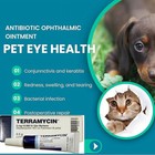 2 Packs Pet Eye Health Ointment For Dogs  Cats  Cattle  Sheep  Horses 3 5 G