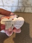 Ty Beanie Babies Carnation The Cat With Tags
