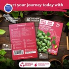 Cucamelon Seeds 75 Melothria Scabra Mexican Sour Gherkin Heirloom Vegetable