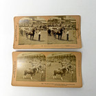 Lot-2 1904 Worlds Fair Stereoscope Cards King Of The Normans   Great Horse Show