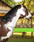 Johnny West Marx Breyer Horse White Brown  Leather Bridle