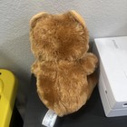 Feisty Pets Plush