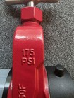 Dixon Ahgv250f-i Gate Valve  Single  2-1 2 In Nst