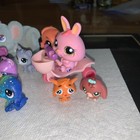 Hasbro Littlest Pet Shop Lps Mixed Sets   Series  lot Of 18 Figures  2 Accessory
