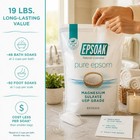 Epsom Salt 19 Lb  Magnesium Sulfate Usp  Resealable Epsom Salt Bag Unscented