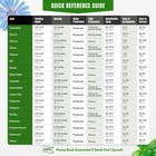 Culinary Herb Seed Kit 18 Varieties  4100  Seeds  Heirloom Non-gmo