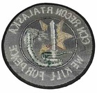 Us Army Rt Alaska Recon Team Special Forces Vietnam Patch
