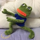 45cm Sad Frog Plush Toy Soft Stuffed Pillow Expression Pepe The Sad Frog Plush