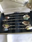 Vintage 7 Souvenir Spoon Collectible Set In Case Gm Brasil Agate Brazil