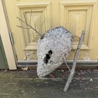 Huge Bald Faced Hornets Nest Very Large 19 Inches Long Taxidermy science Nature 