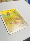 1910 Indian Life In The 1860 s Hassan Cigarette Tobacco Card