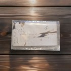 Rare 1849 Handwritten Civil War Era Precursor Letter     Alexandria Va To   