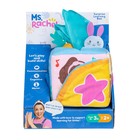 Ms  Rachel Surprise Learning Box