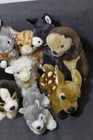 Lot Of 15 Miyoni Aurora Plush Stuffed Animals
