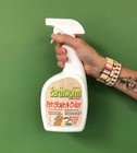 Pet Stain Remover   Odor Eliminator - Urine Eliminator Natural Enzyme Formula   