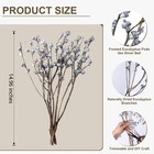 Silver Seeded Dried Eucalyptus Branches - 12-16 Stems  2 Bundles  Natural Und   