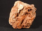 237 Million Year Old  Petrified Wood Fossil From Triassic Arizona 1484gr