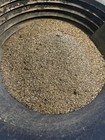 Paydirt From California 3lbs Of Gold Paydirt   Dry Weight 3lbs  Guaranteed Gold