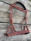 Padded Brown Leather Western Horse Training Side Pull