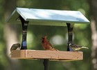Fly Through Bird Feeder Hanging Outdoor Garden Platform Tray Roof Green Seed