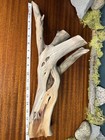 19    Manzanita Driftwood Branch  Aquarium Terrarium Aquascaping Decor  Home Decor