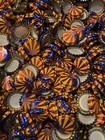 100 Arizona  az  Bottle Caps Lot - Oak Creek Brewery