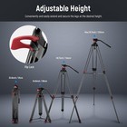 Neewer Tp-m200 79  200cm Video Tripod Aluminum Alloy Tripod 360 Fluid Drag Head