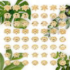 Exquisite Flower Bead Cap Set - 160pcs  8 Styles - Golden Tibetan Style Spacer B