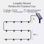 Brightech Ambience Pro Solar Powered Outdoor String Lights  48 27 Ft Edison Bulb