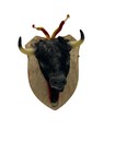 Vintage Spain Bull Head Souvenir Wall Mount Plush Trophy Plaque 6 25 
