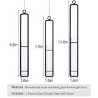 Aoderun Hanging Glass Planter Water Iron Art Hydroponic Vase Transparent Test   