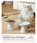 Elevated Ceramic Cat dog Bowl Set  2pcs Food   Water Dishes  6 2 w X 5 h 