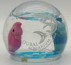 Dubai Aquarium   Underwater Zoo  Water Globe With Floating Sea Horses  U a e 