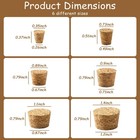 30pcs Natural Corks Stoppers  Assorted Sizes Cork For Bottles  Soft Wood Tape   