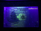 Congo 5 Centime 1997 Banknote World Paper Money Unc Currency Bill Note